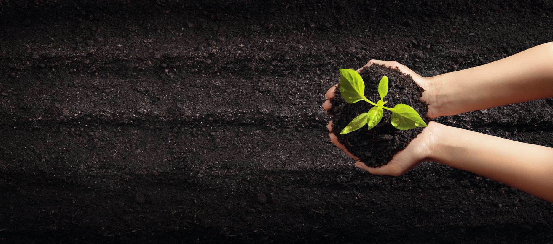 Thermo Design Engineering TDE